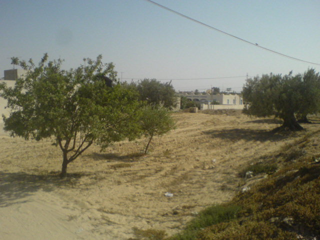 DSC01328.JPG
